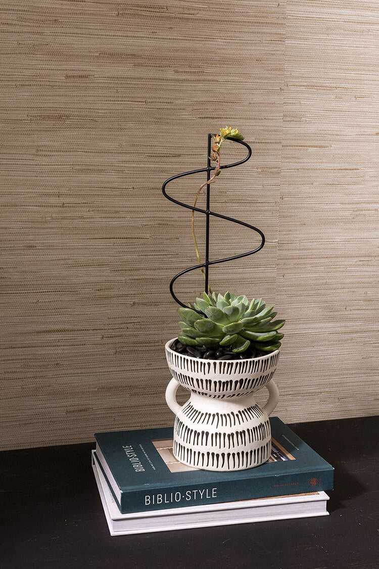 Fiji Pot