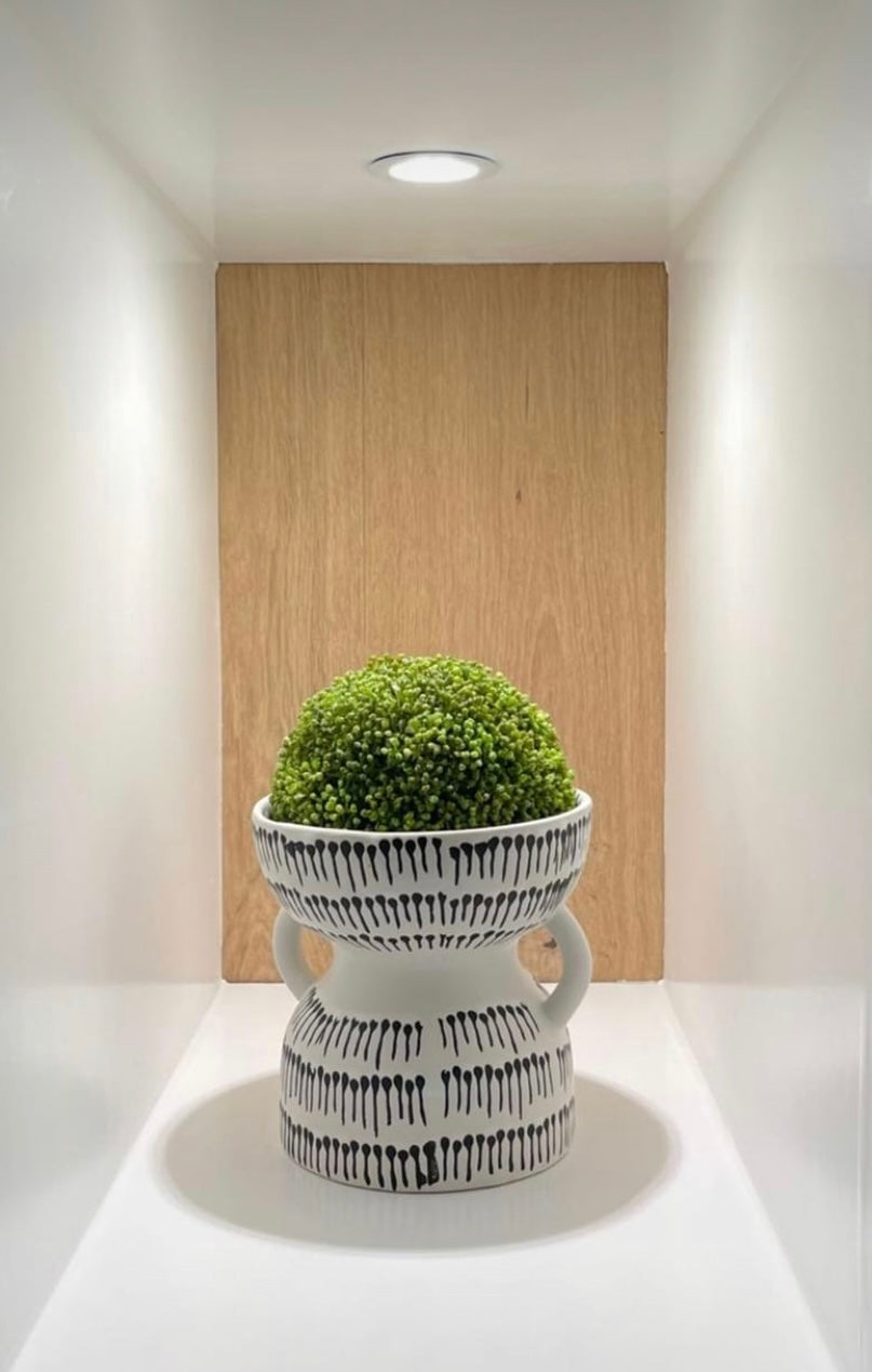 Fiji Pot