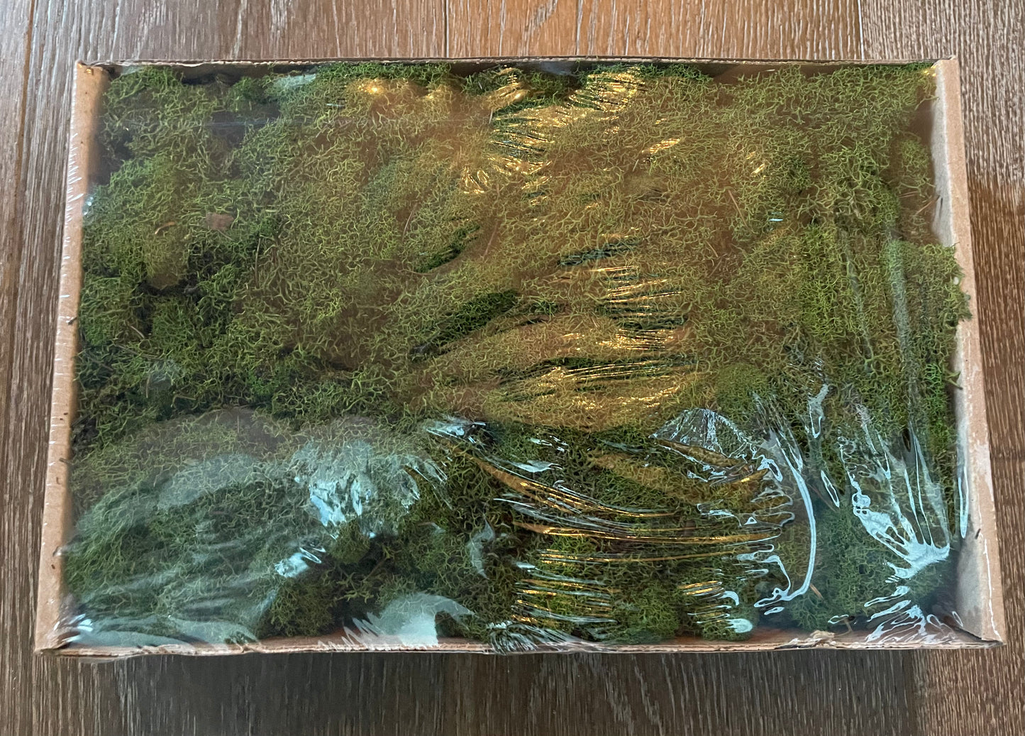 Moss