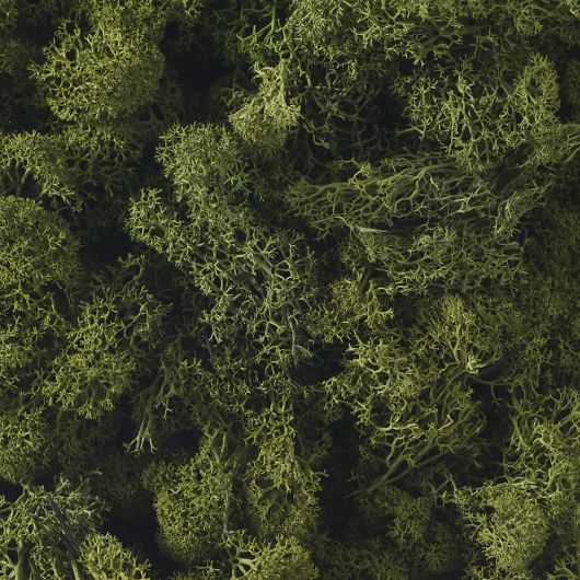 Enhance your home decor with fake Moss!!